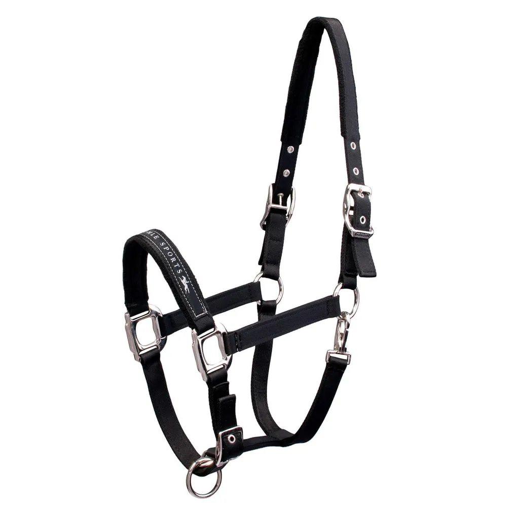 Schockemöhle Sports Licol Memphis Noir WB : Licol d'écurie robuste