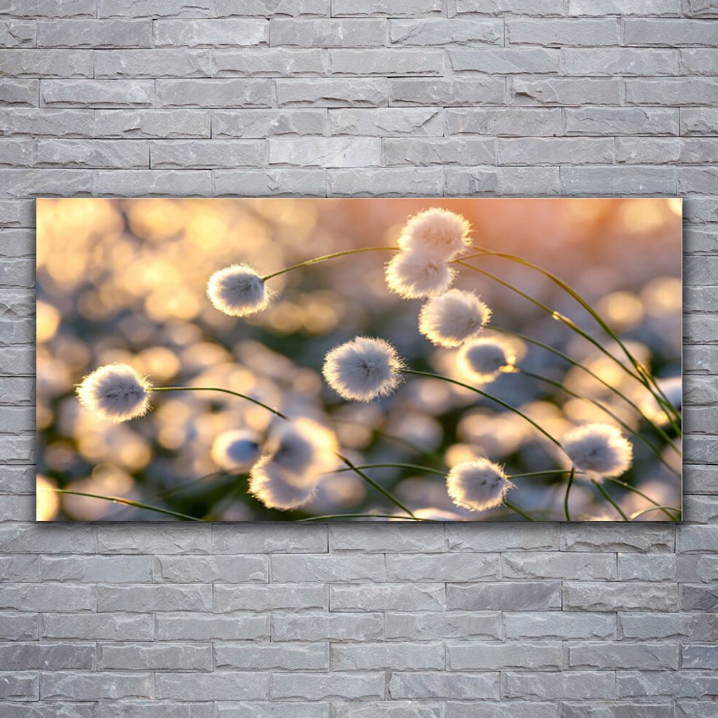 Acrylglasbilder 120x60 Wandbild Druck Blumen Pflanzen