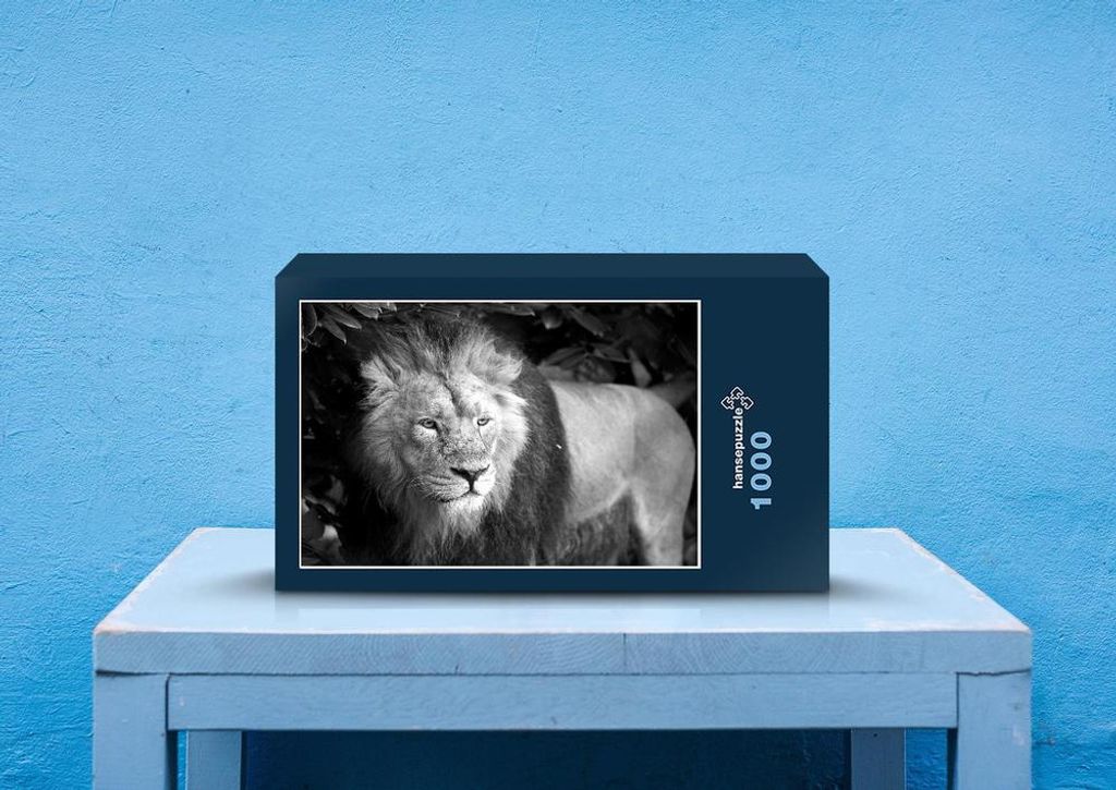 hansepuzzle 79575 - Der König der Tiere Puzzle, 1000 Teile, Tierwelt, 60,0 x 46,0cm mit hochwertiger Aufbewahrung, Kartonbox & Beutel