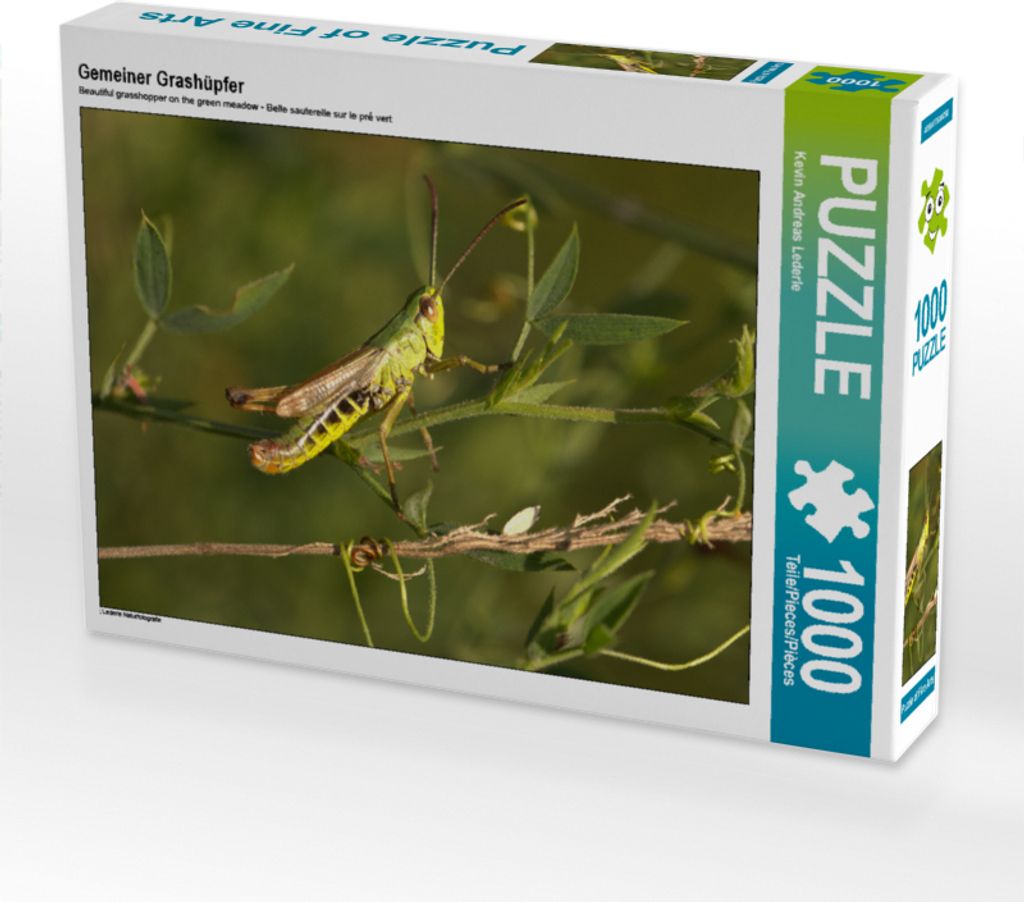 CALVENDO Puzzle Gemeiner Grashüpfer | 1000 Teile Lege-Größe 64x48cm Foto-Puzzle für glückliche Stunden