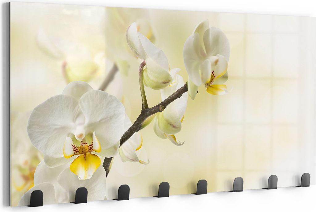 DEQORI Kleiderhaken Glas 60x30 cm 'Orchideenzauber' Wand Garderobe beschreibbar Paneel