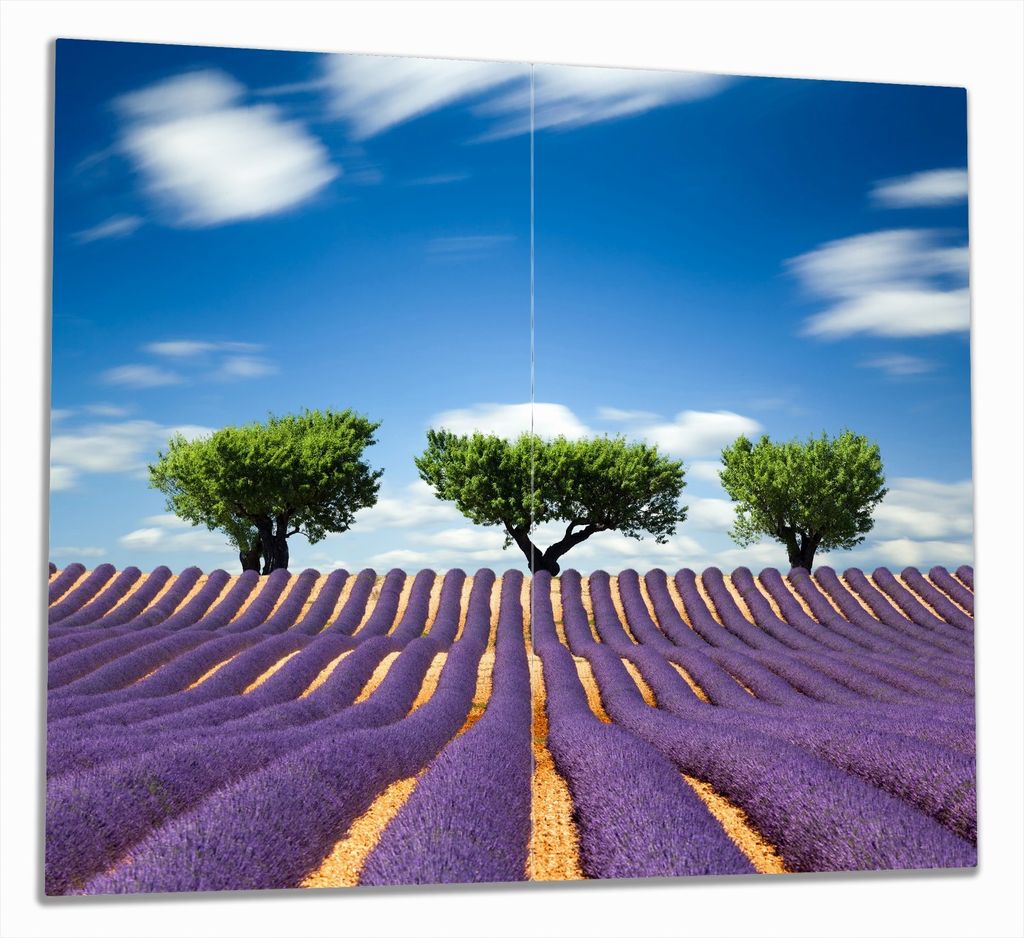 Wallario Herdabdeckplatte aus Glas, Größe 60 x 52 cm 2-teilig, Motiv Abstraktes lila Blumenfeld mit Lavendel