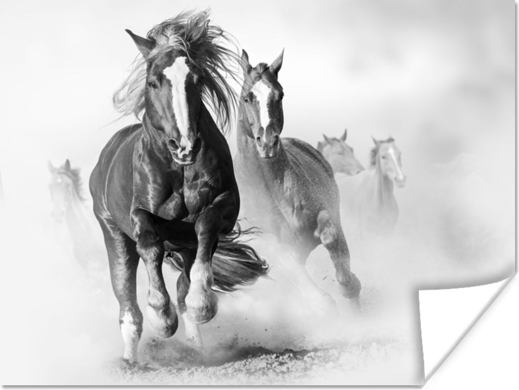 MuchoWow Poster Pferde - Tiere - Illustration 160x120 cm - Foto Plakat