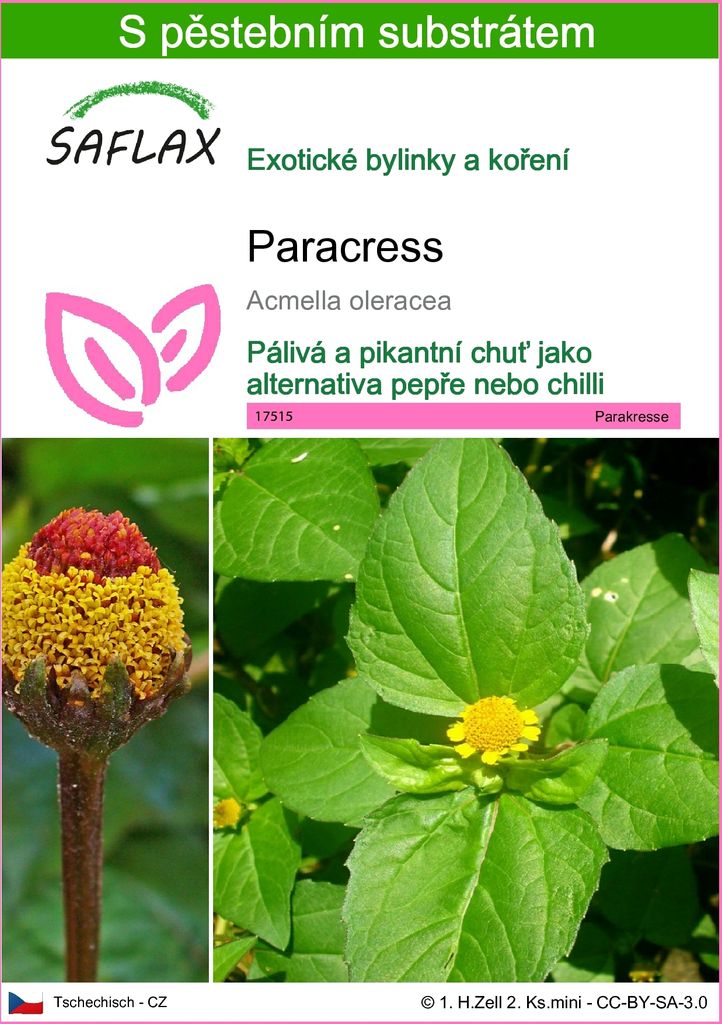 SAFLAX - paracress - Acmella oleracea - 500 Semena - S Obrázek produktu 