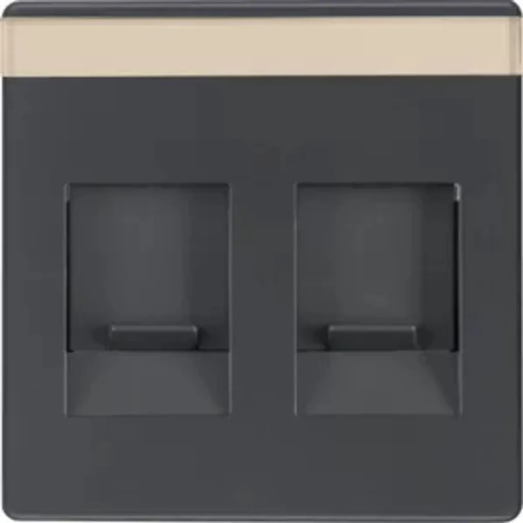 Berker 11816086 Pièce centrale avec curseur anthracite pour prise