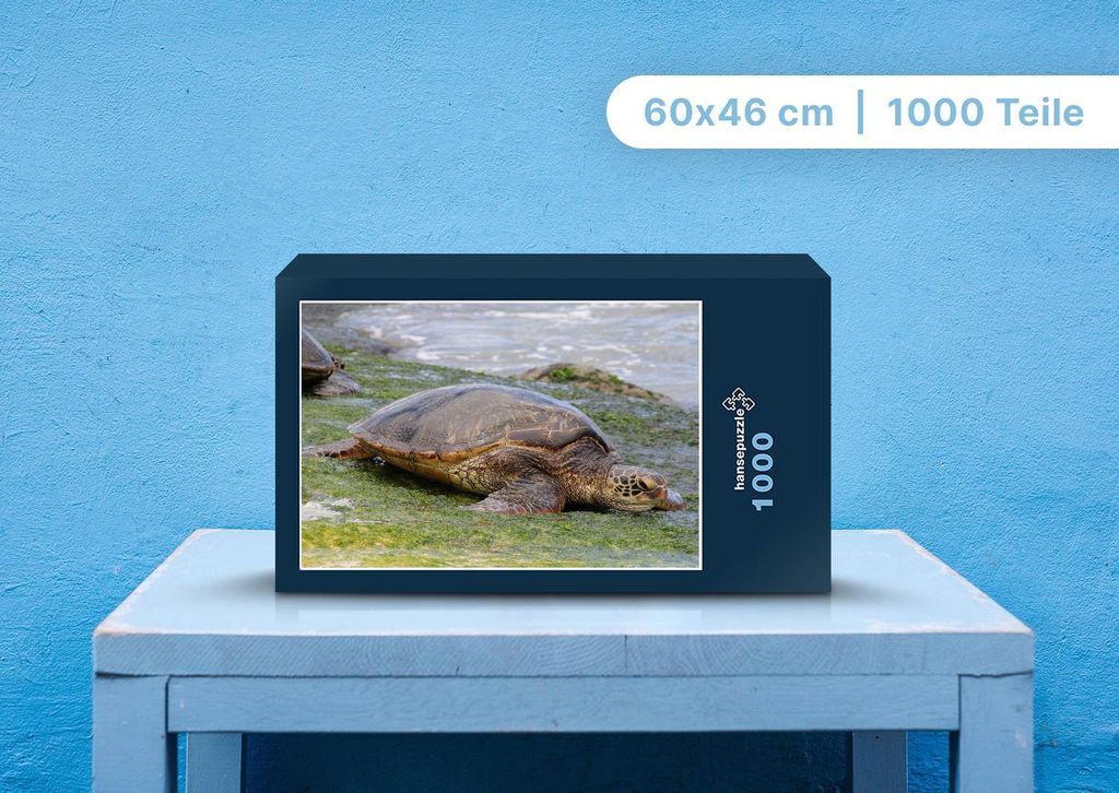 hansepuzzle 103530 - Wasserschildkröte Puzzle, 1000 Teile, Tierwelt, 60,0 x 46,0cm mit hochwertiger Aufbewahrung, Kartonbox & Beutel
