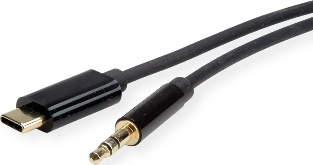 Câble Audio USB-C vers Prise Jack 3,5 mm ROLINE 12033218 Noir de 3 m