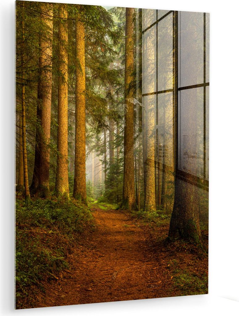 MuchoWow Glasbilder - Bilder auf Wandbild - Foto auf Glas Wald - Natur - Bäume - Landschaft - Laub 60x80 cm Wanddekoration aus Glas - Acrylglasbil...
