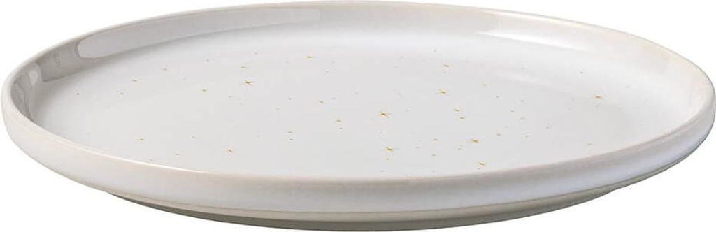 A white ceramic plate with speckles.