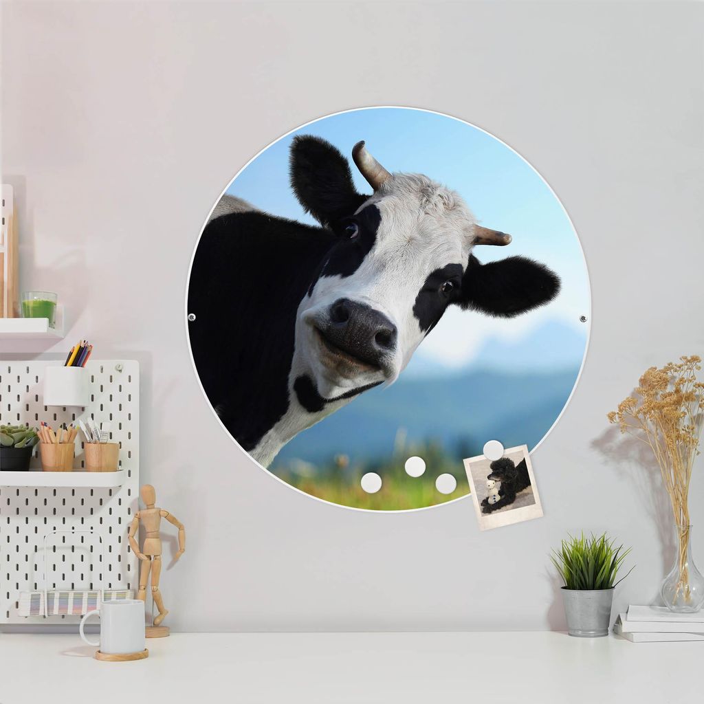 Design Stahlmagnettafel Weiß Rund 47cm Neugierig