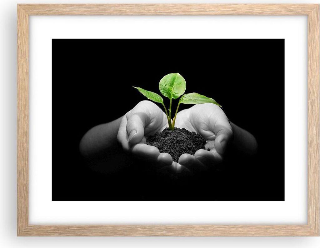 Gerahmtes Poster - Rahmen in heller Eiche - Natur Pflanze Wissenschaft Schutz - 40x30 cm - Wand Bild - Wanddeko - Wandbilder - Wandposter - Bilderr...