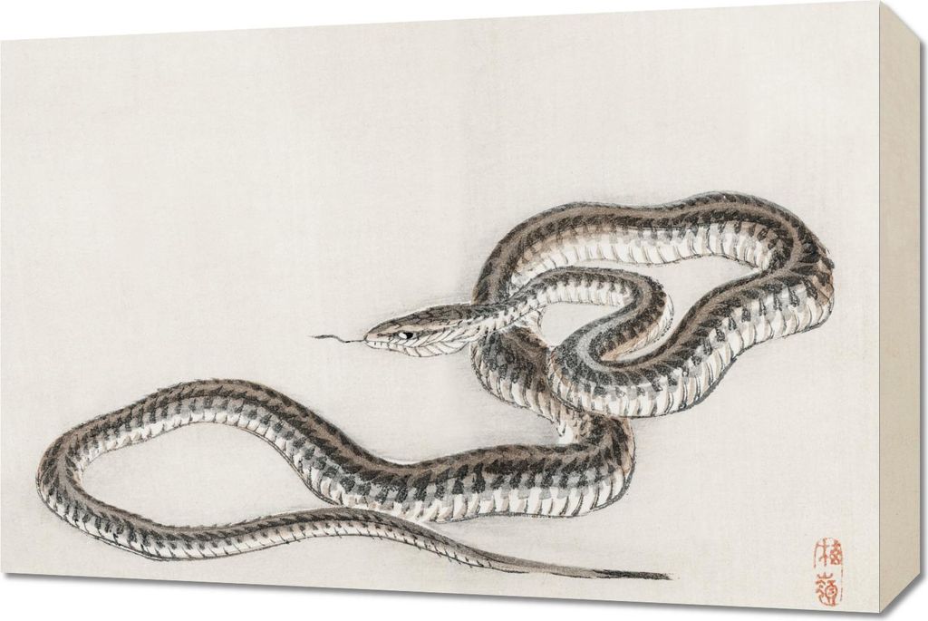 Bild 60x40cm Schlange, Kōno Bairei