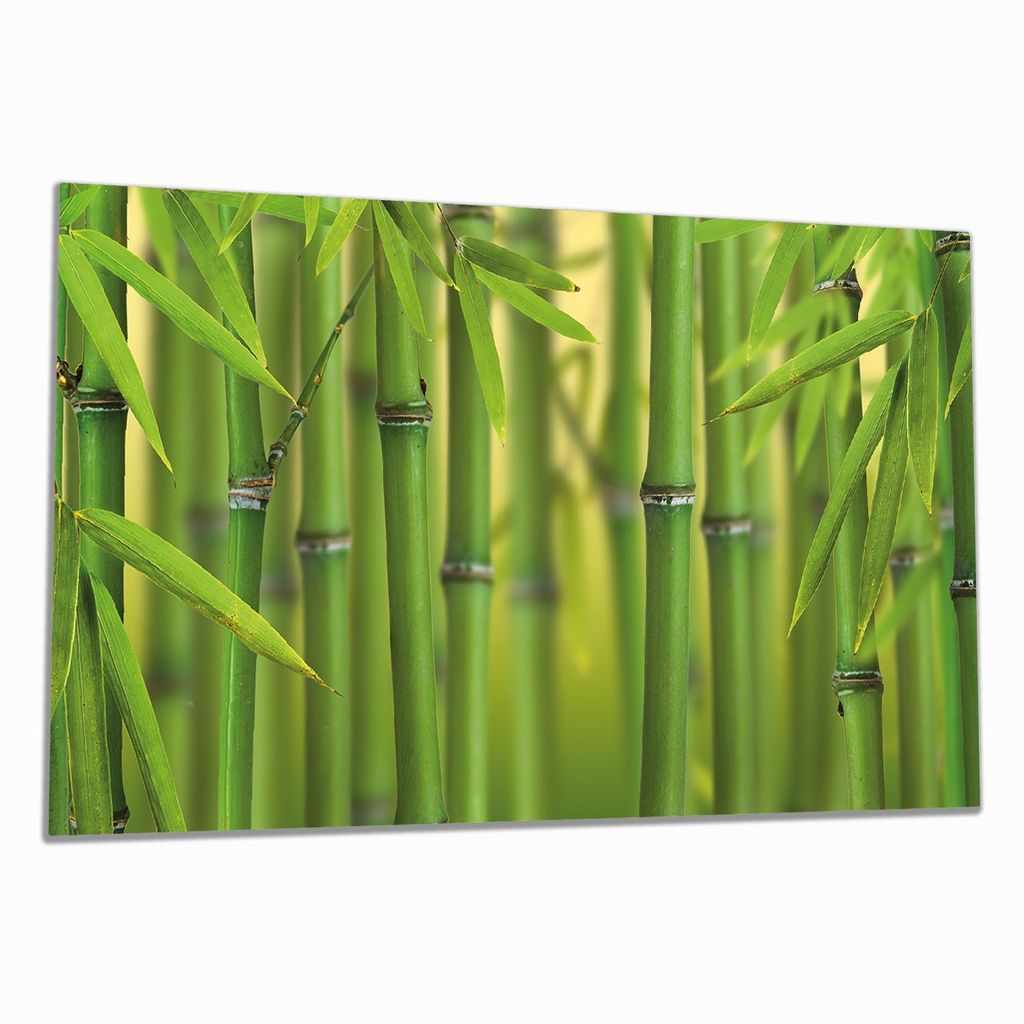 Wallario Herdabdeckplatte aus Glas, Größe 90 x 52 cm 1-teilig, Motiv Grüner Bambuswald