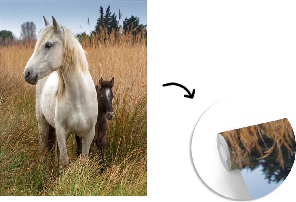 MuchoWow Fototapete für Wohnzimmer oder Schlafzimmer Wandtapete Vinyl Motivtapete Pferd mit Fohlen in der Camargue - 220x260 cm - Vinyl-Tapete
