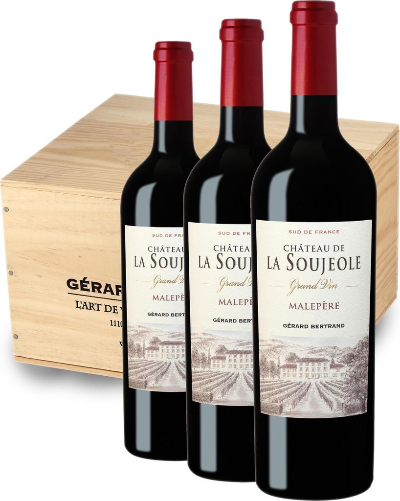 Château La Soujeole Grand Vin Rouge 75cl 2019 lot de 6 bouteilles avec caisse bois