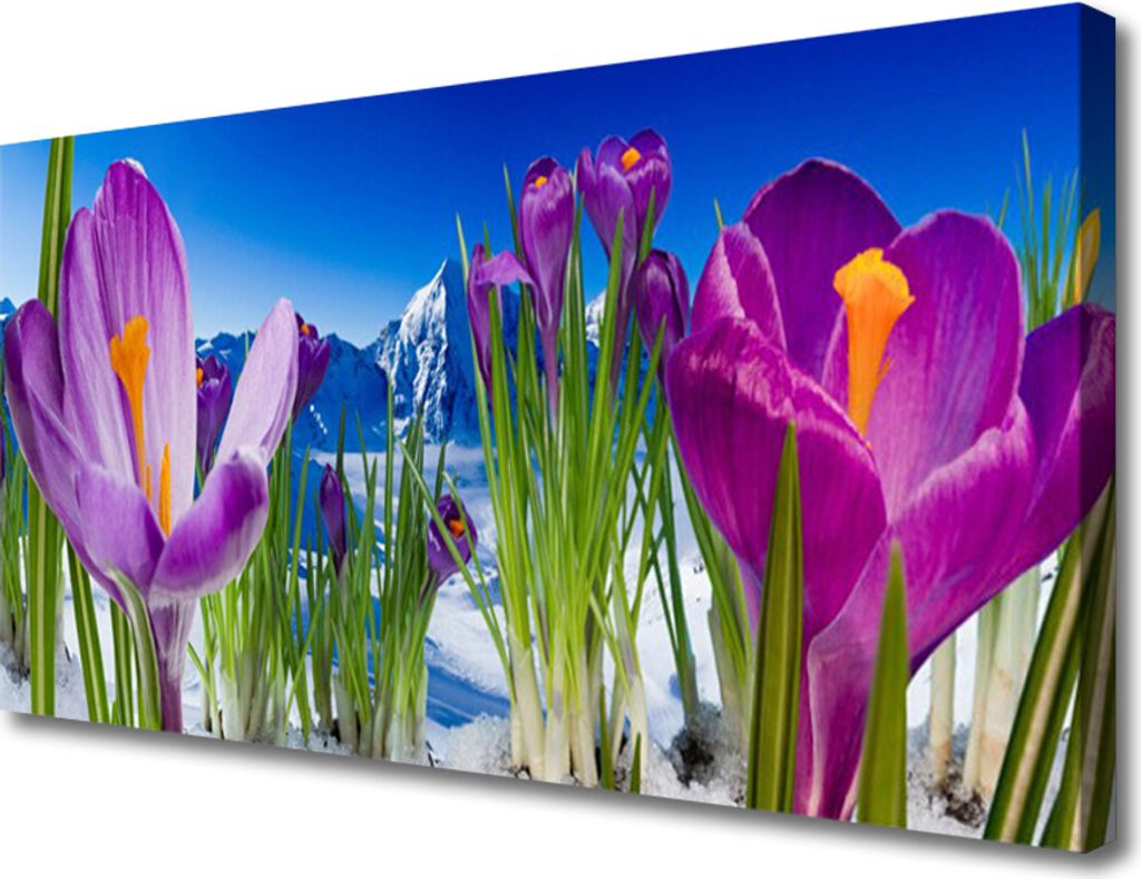 Tulup Leinwand-Bilder 100x50 Wandbild Canvas Kunstdruck Blumen Pflanzen