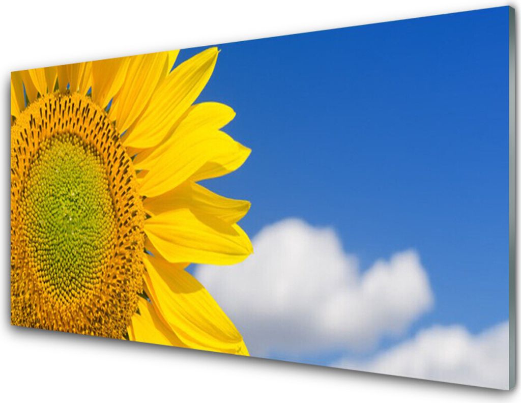 Acrylglasbilder 100x50 Wandbild Druck Sonnenblume Wolken Produktbild 