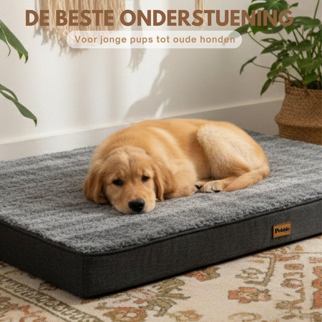 Pebble Orthopedisch Hondenkussen 100x75 cm Grijs - Wasbaar Productafbeelding 