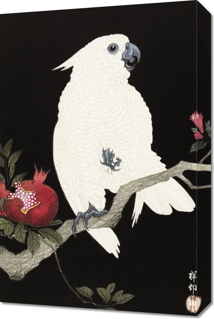 Bild 40x60cm Kakadu und Granatapfel 2, Koson Vintage für das Wohnzimmer