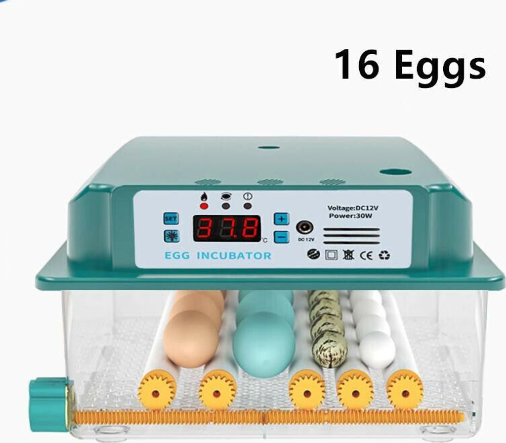 Inkubátor Plně automatický kuřecí inkubátor Farmářský Obrázek produktu 12