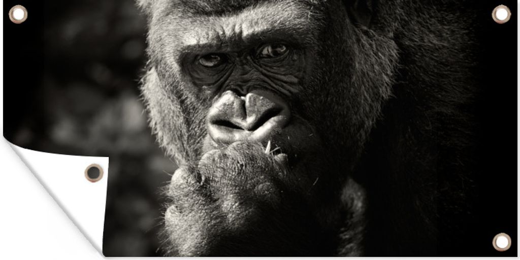 MuchoWow 60x30 cm Outdoor-Poster Gartendeko Sichtschutz Garten Poster für den Garten Tierprofil Gorilla in schwarz und weiß