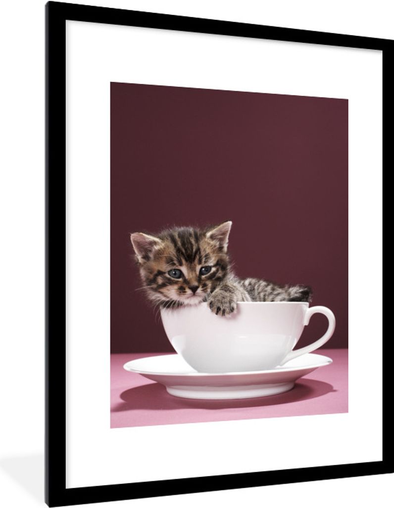 MuchoWow Gerahmtes Poster Ein Kätzchen in einer Tasse mit Untertasse 60x80 cm - Poster mit Schwarzem Bilderrahmen Wandposter Rahmen Foto Bilder ...