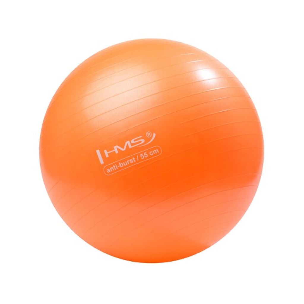 Gymnastická lopta HMS YB02 55 cm oranžová Obrázok produktu 