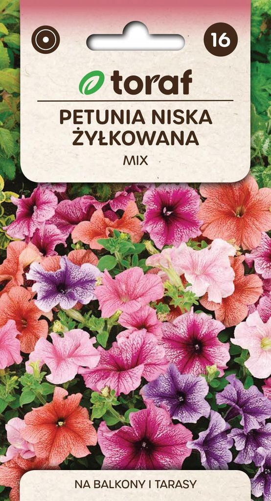 Nízka petúnia s pruhmi, farebná zmes, kvetinové semená – Obrázok produktu 