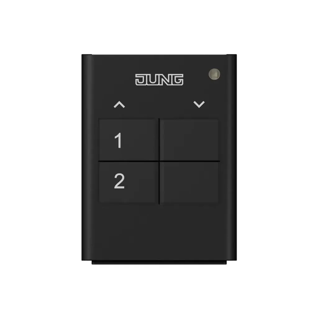 Télécommande FM HS 2 Funk-Handsender 2-kanalig FMHS2 d'origine