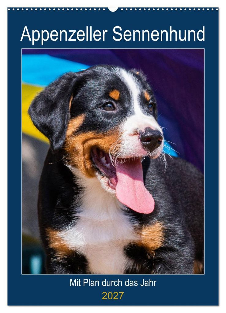 Appenzeller Sennenhund - Mit Plan durch das Jahr (Wandkalender 2027 DIN A2 hoch), CALVENDO Monatskalender