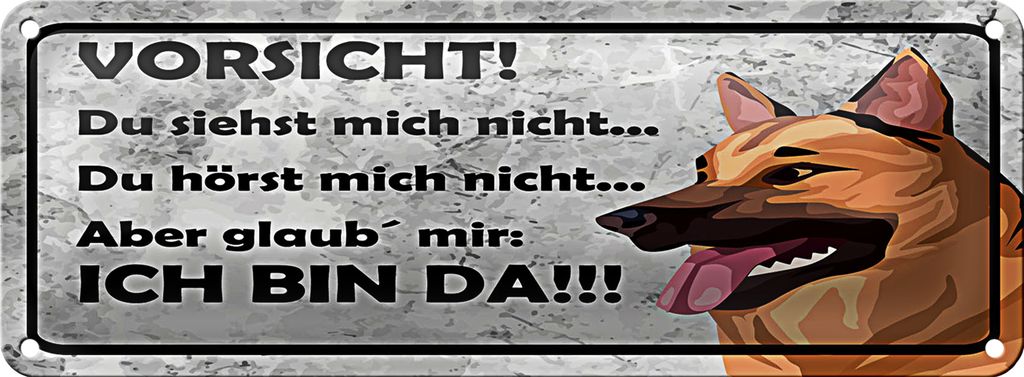 Blechschild Spruch 27x10 cm Vorsicht Hund Du siehst mich nicht
