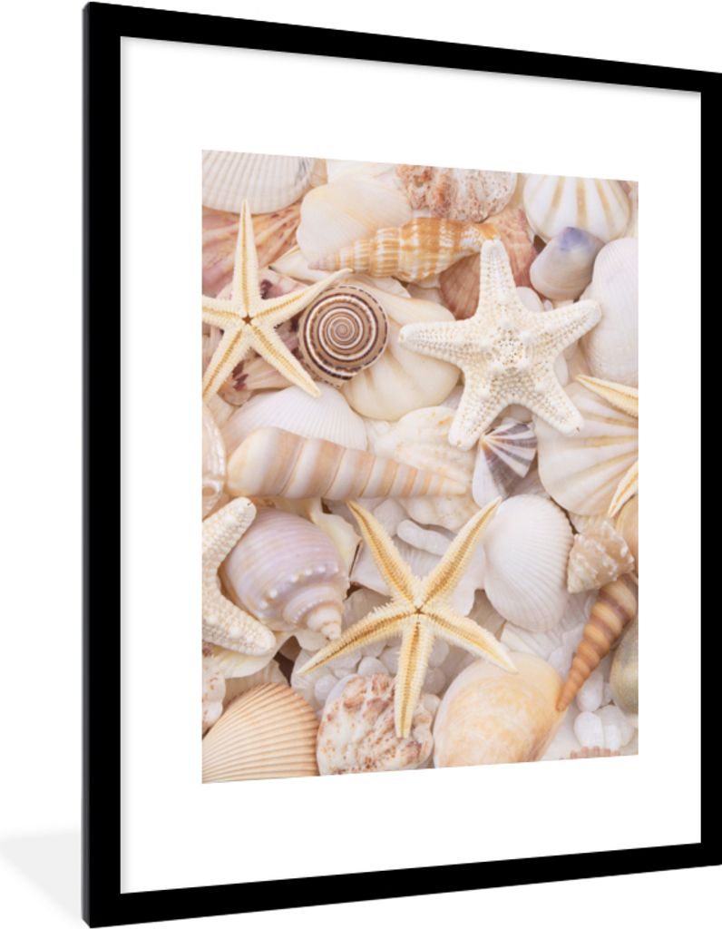 MuchoWow Gerahmtes Poster Seestern - Muscheln - Strand - Sommer 60x80 cm - Poster mit Schwarzem Bilderrahmen Wandposter Rahmen Foto Bilder - Wohn...