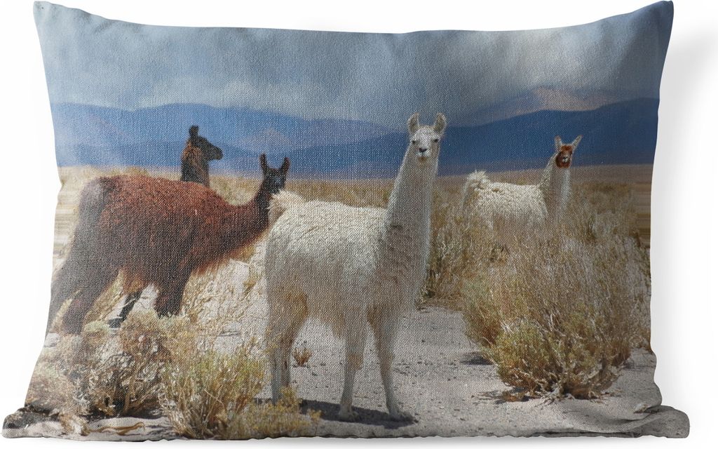 MuchoWow Outdoor Kissen - Alpaka - Wüste - Wolken - 60x40 cm - Wetterfest - Lounge Kissen - Zierkissen - Kissen für Innenräume