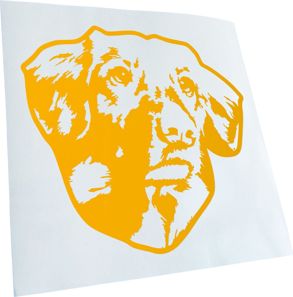 Kiwistar - Autoaufkleber - Nova scotia duck trolling retriever - Gelb - 50x45cm - Aufkleber für Auto, Laptop, Fahrrad, LKW, Motorrad mehrfarbig JD...