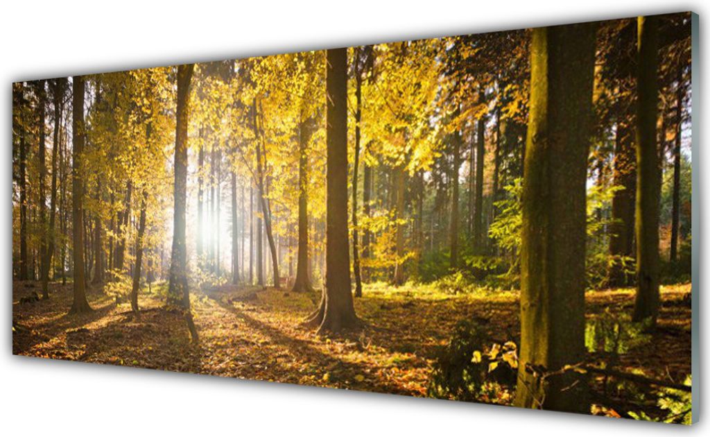 Küchenrückwand aus Glas 125x50cm Spritzschutz Wald Natur