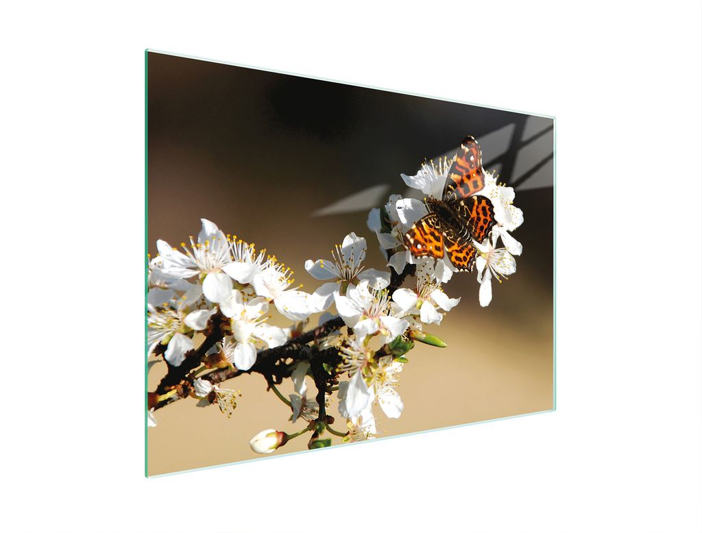 Glasschneidebrett 30x22 Pflaume