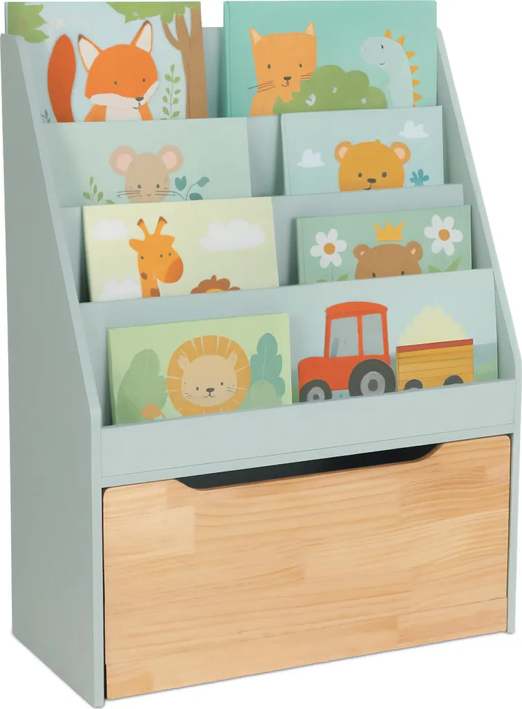 Fini le Désordre : Étagère à Livres et Coffre à Jouets Gain de Place