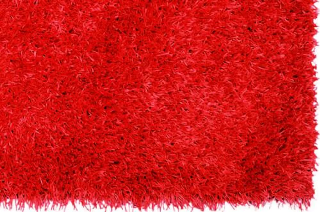 Tapis de Salon Rouge 170x240 cm - Créez une Ambiance Cosy Shaggy 01