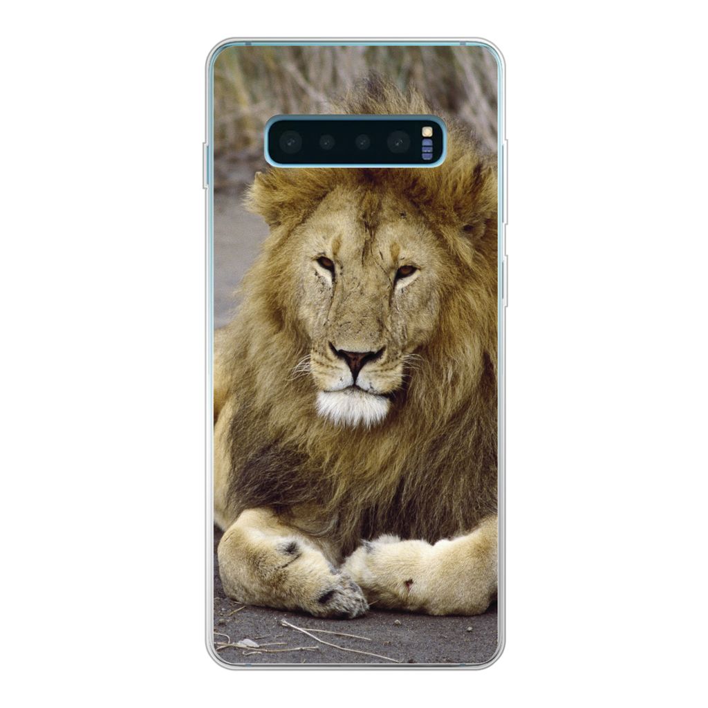 MuchoWow Handyhülle Schutzhülle Hülle für Samsung Galaxy S10 Plus Löwe - Afrika - Tier Silikon Softcase Handy Hülle - Schutzhülle