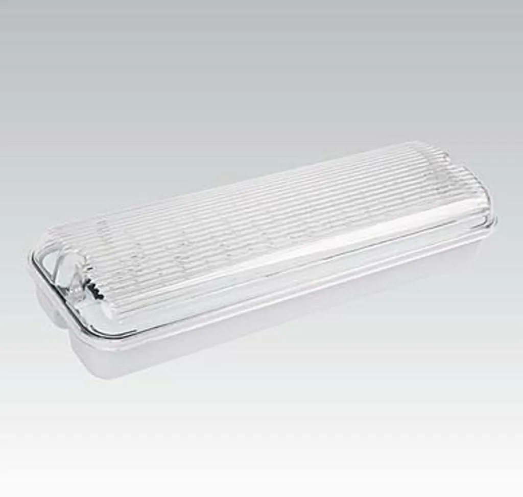 Bloc secours pour parking et industrie Nbb Sandra 51 LED IP65 3 heures