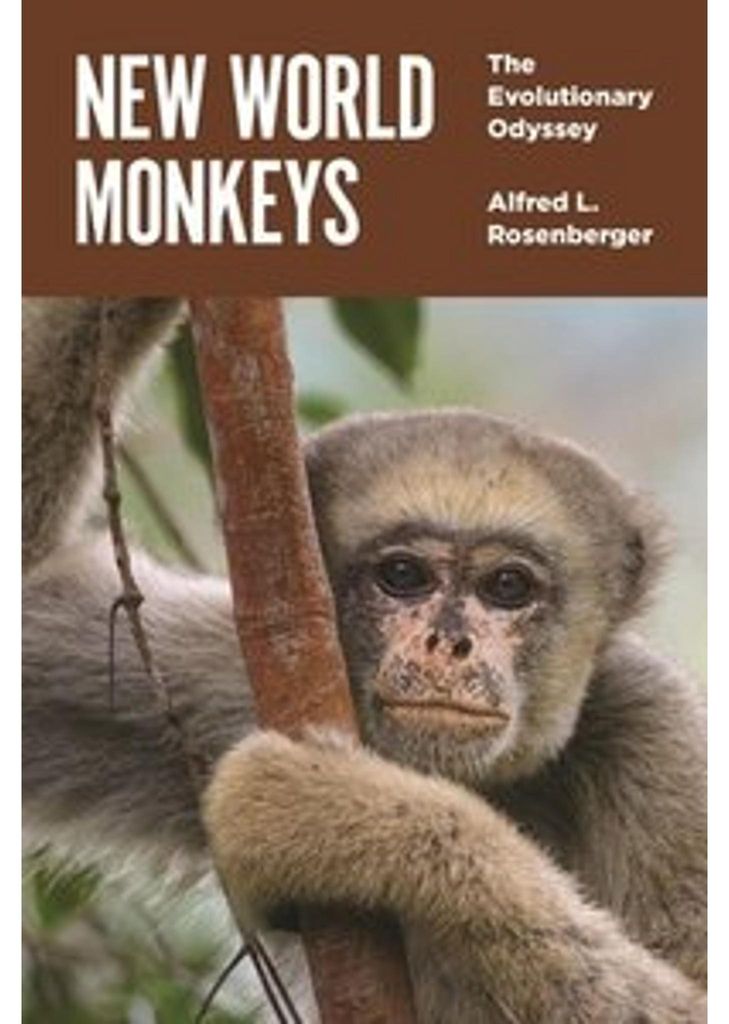 New World Monkeys