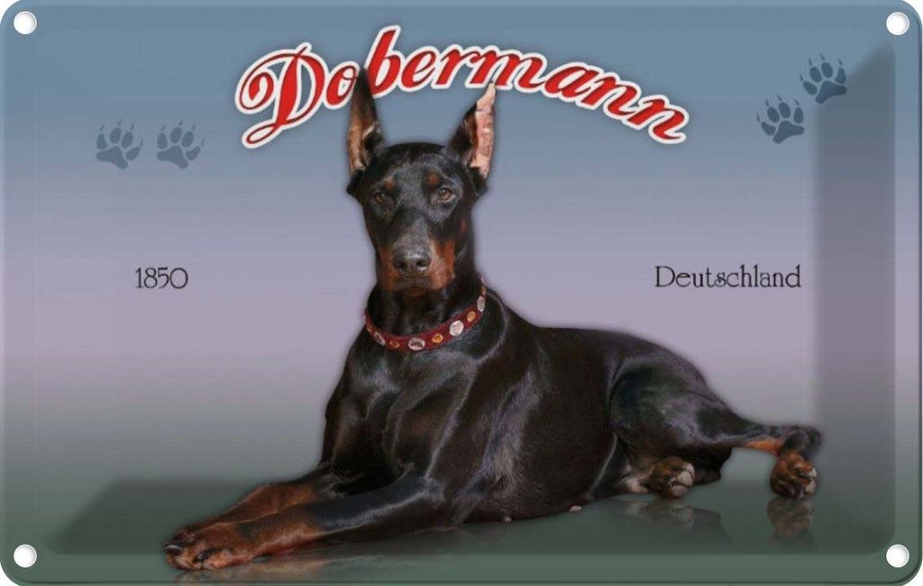 vianmo Blechschild 20x30 cm Hund Dobermann 1850 Deutschland Tier Haustier