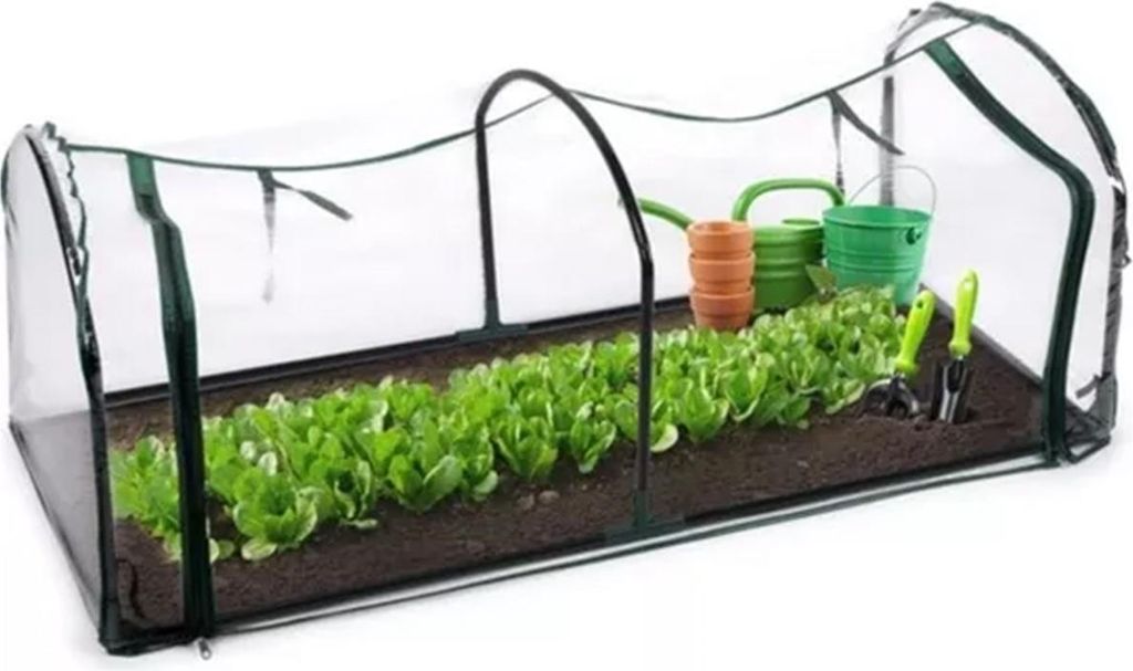A small greenhouse with rows of lettuce growing inside, along with gardening tools and watering cans.
