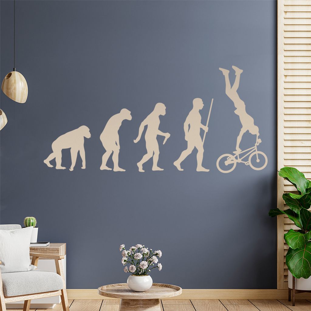 BMX Freestyle Evolution Wandtattoo Wandaufkleber Wall Sticker - Dekoration, Küche, Wohnzimmer, Schlafzimmer, Badezimmer