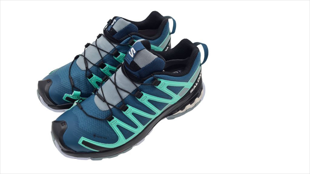 Salomon XA PRO 3D v8 GTX Damen-Trekkingstiefel 36