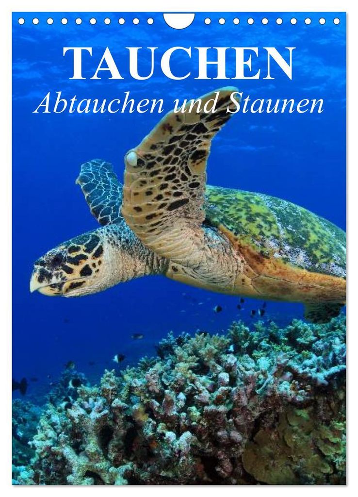 Tauchen - Abtauchen und Staunen (Wandkalender 2027 DIN A4 hoch), CALVENDO Monatskalender