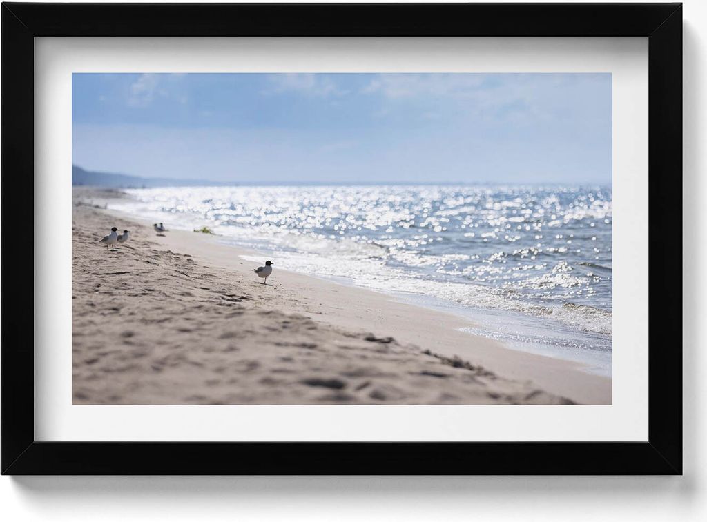 Meereswellen und ein Vogel am Strand– Wandbild mit Rahmen – Gerahmtes Bild – Wanddekoration – 30x20 cm – Schwarz Rahmen