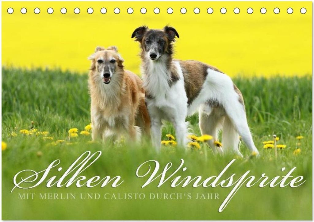 Silken Windsprite - Mit Merlin und Calisto durch ́s Jahr 2026 (Tischkalender 2026 DIN A5 quer), CALVENDO Monatskalender