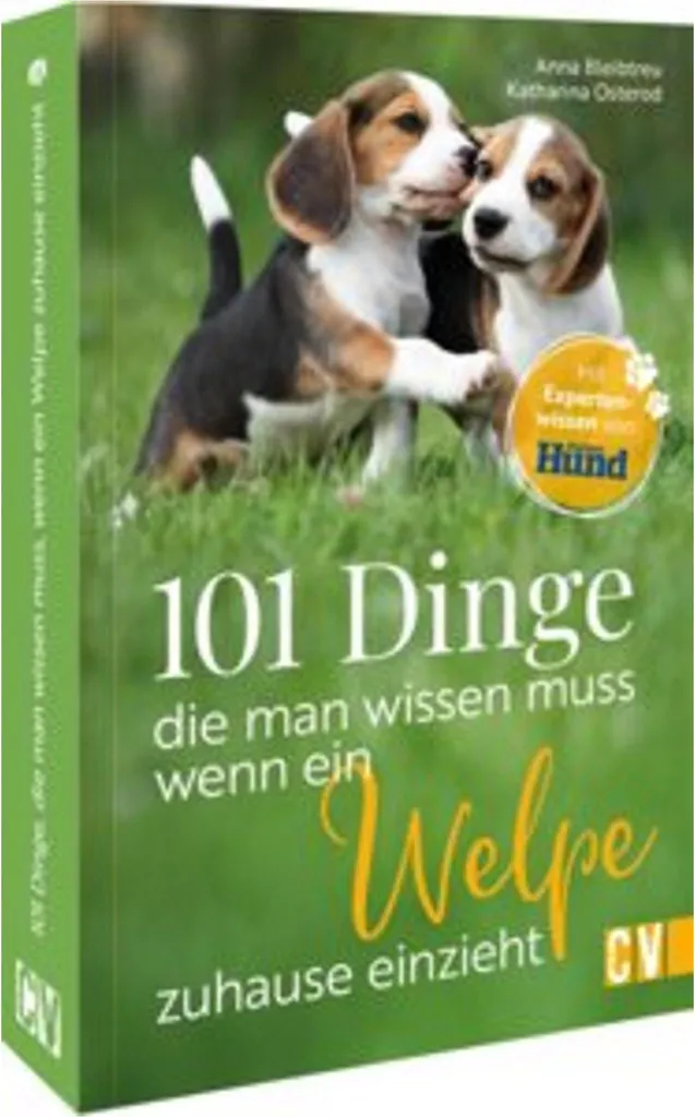 Guide pratique chiot : 101 conseils pour réussir son éducation dès le début