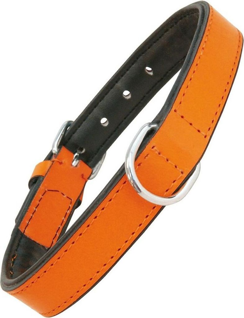 Hundehalsband Gloria Polsterung Orange 50 cm (50 x 2,5 cm)